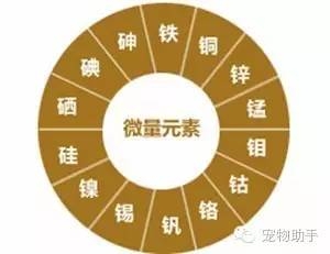 狗狗补硒过量会怎么样(狗狗补硒过量会怎么样)-硒宝网