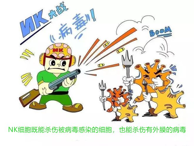 补硒提升免疫力吗女性(女性补硒提升免疫力哪个牌子好)-硒宝网