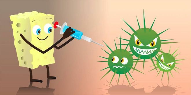 补硒提升免疫力吗女性(女性补硒提升免疫力哪个牌子好)-硒宝网