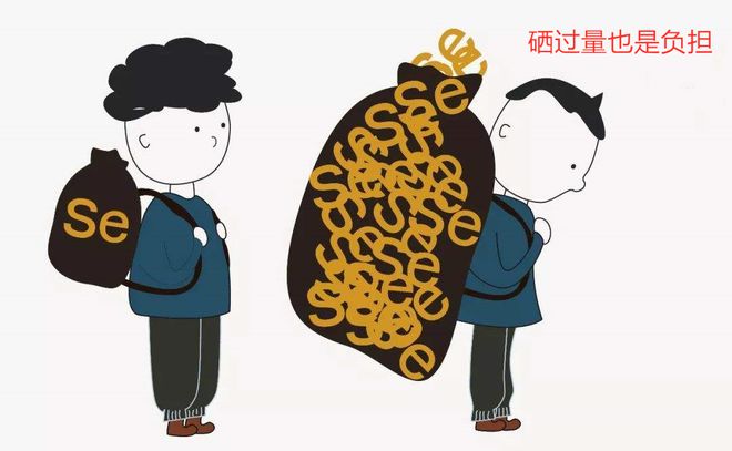 补硒提升免疫力吗女性(女性补硒提升免疫力哪个牌子好)-硒宝网