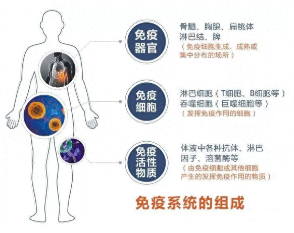 过敏性鼻炎补硒能好吗（过敏体质可以补硒吗）-硒宝网