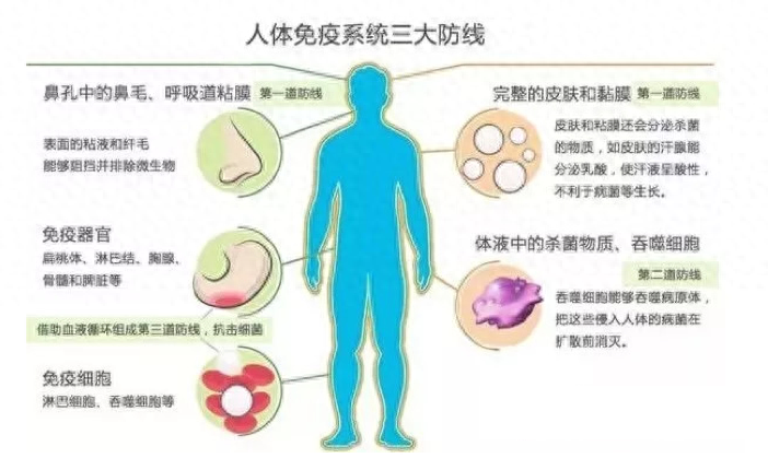 过敏性鼻炎补硒能好吗（过敏体质可以补硒吗）-硒宝网