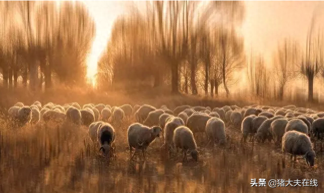 补硒会造成口腔溃疡吗（吃硒容易得口腔溃疡吗）-硒宝网