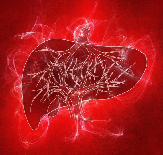 补硒是不是排毒的食物(排毒补食物是硒元素吗)-硒宝网