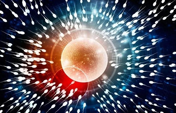 男士为什么要补镁锌硒（男士为什么要补镁锌硒）-硒宝网