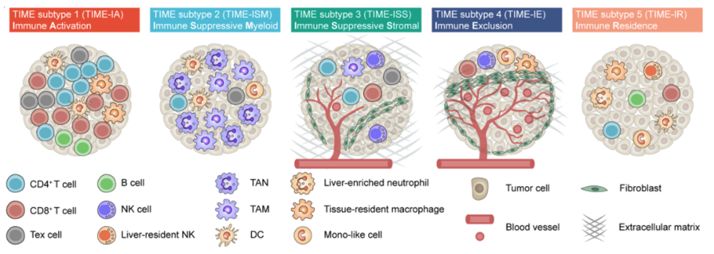 患了肝癌补硒还有用吗（患补肝癌硒用什么药）-硒宝网