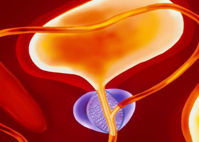 补锌补硒对前列腺好吗（前列腺补锌片什么好处）-硒宝网