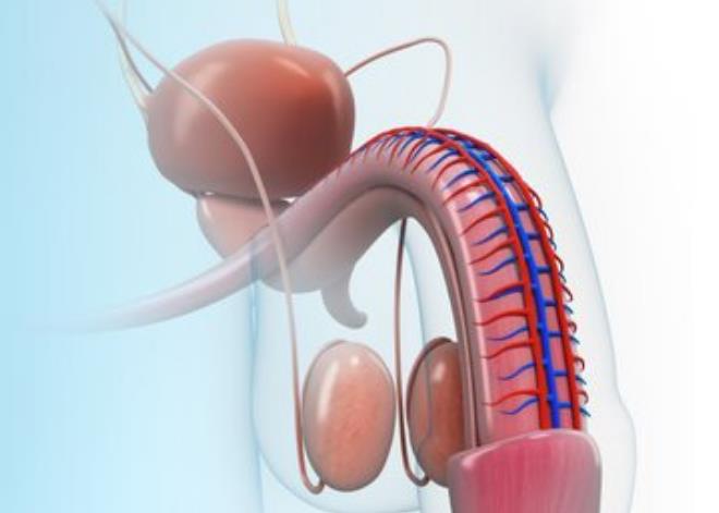 补锌补硒对前列腺好吗（前列腺补锌片什么好处）-硒宝网
