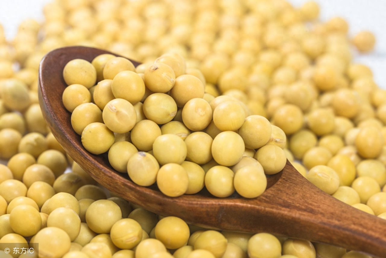 白细胞减少能补硒吗吗(补硒可以提高白细胞吗)-硒宝网