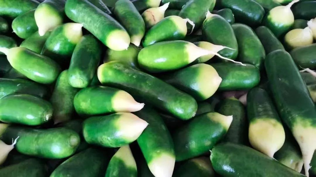 富硒有机蔬菜（蔬菜富硒标准是多少）-硒宝网