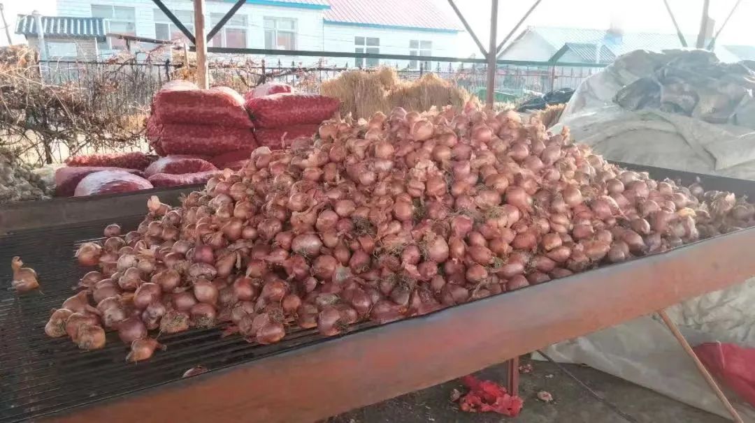 富硒有机蔬菜（蔬菜富硒标准是多少）-硒宝网