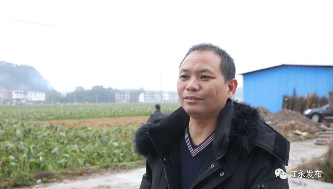 富硒有机蔬菜(富硒有机蔬菜)-硒宝网