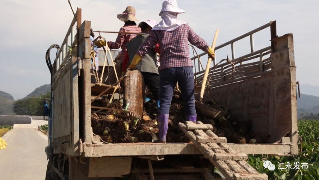 富硒有机蔬菜(富硒有机蔬菜)-硒宝网