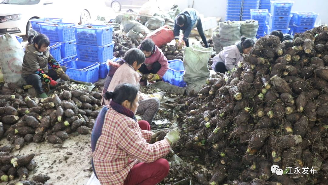 富硒有机蔬菜(富硒有机蔬菜)-硒宝网