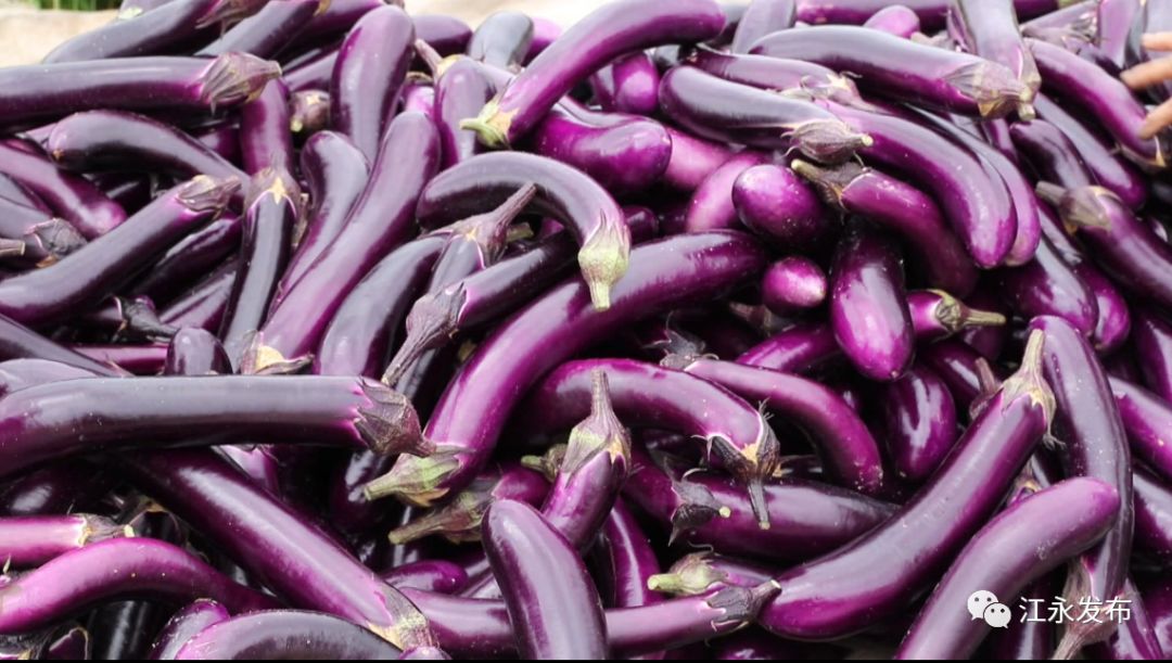 富硒有机蔬菜(富硒有机蔬菜)-硒宝网