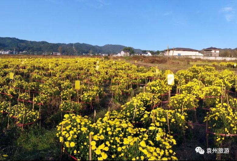 农科院硒产品(农科院生产的硒)-硒宝网