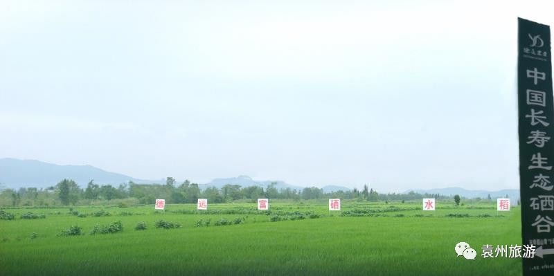 农科院硒产品(农科院生产的硒)-硒宝网