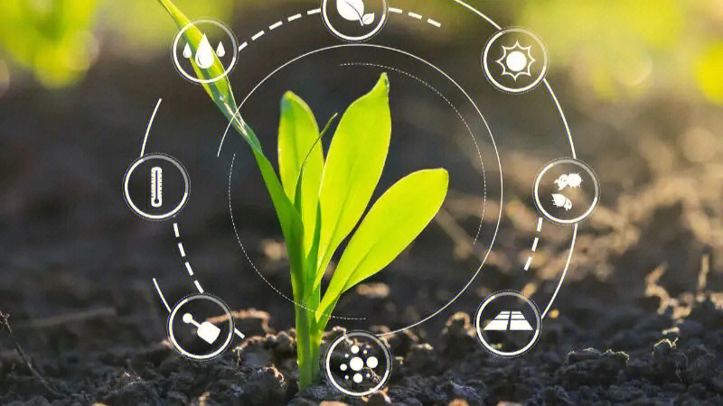 农科院硒产品(农科院的硒多少钱一盒)-硒宝网