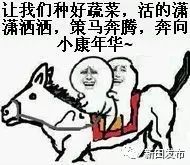 富硒有机蔬菜(蔬菜机富硒有什么作用)-硒宝网