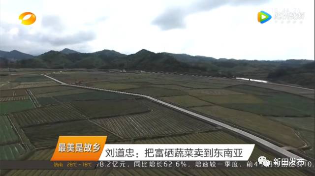 富硒有机蔬菜(蔬菜机富硒有什么作用)-硒宝网