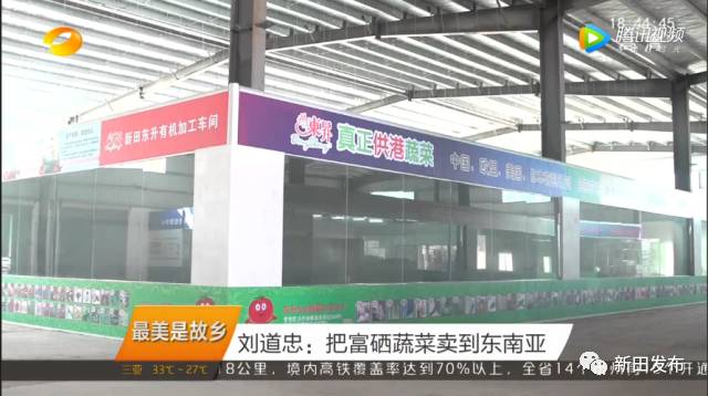 富硒有机蔬菜(蔬菜机富硒有什么作用)-硒宝网