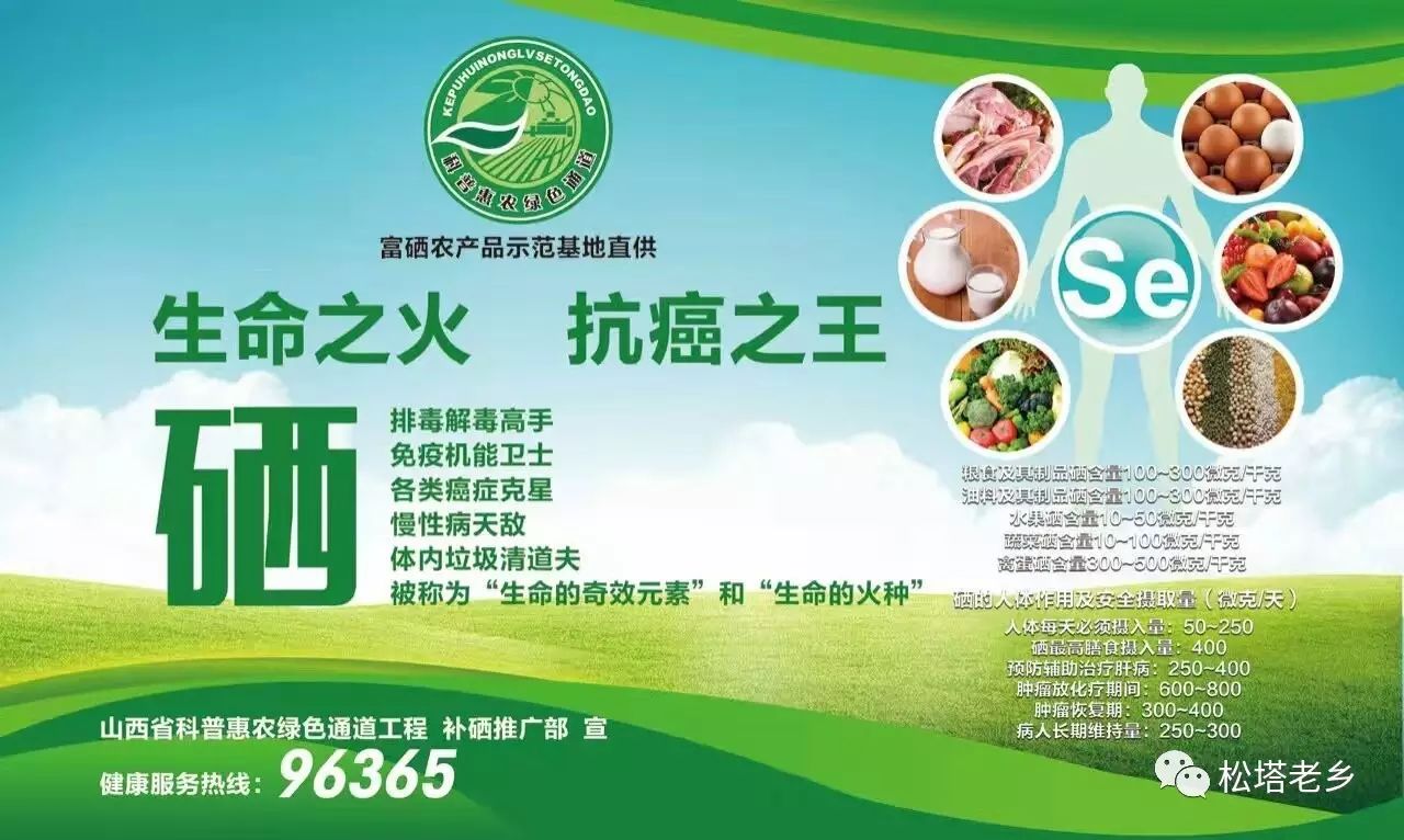 富硒有机蔬菜(蔬菜机富硒有哪些品种)-硒宝网