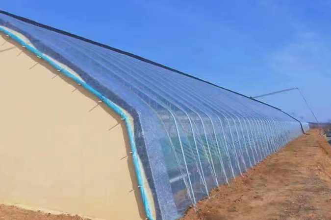 富硒水果蔬菜（蔬菜水果富硒含量排名）-硒宝网