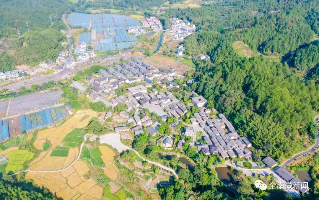 富硒有机蔬菜（蔬菜机富硒有什么用）-硒宝网