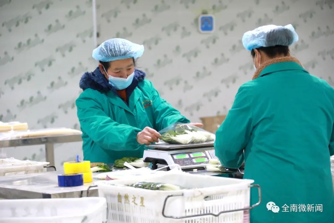 富硒有机蔬菜（蔬菜机富硒有什么用）-硒宝网