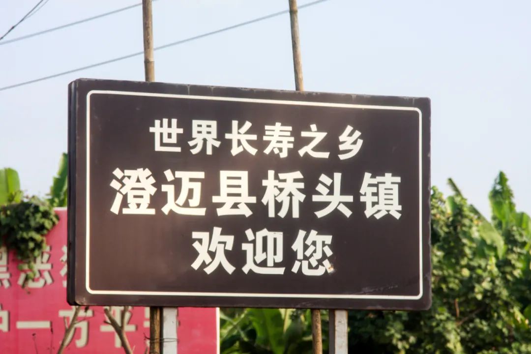 海南富硒地瓜(海南富硒地瓜是毒地瓜吗)-硒宝网