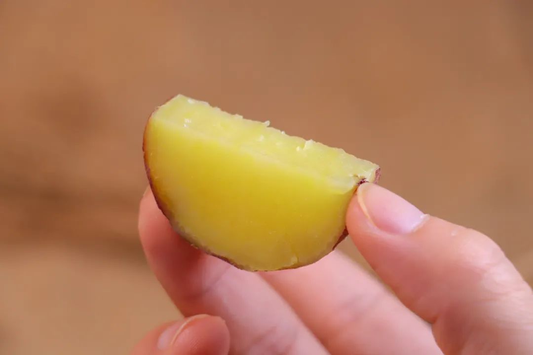 海南富硒地瓜(海南富硒地瓜是毒地瓜吗)-硒宝网