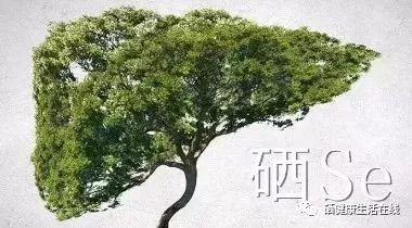 硒与人体健康(硒与人体健康有奖问答)-硒宝网