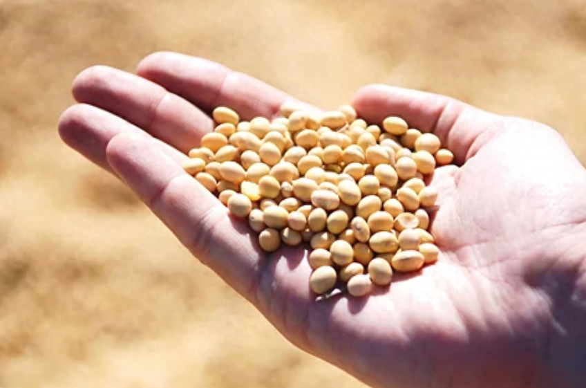 什么补硒最好（如何补硒吃高吉星蛋白硒推荐）-硒宝网