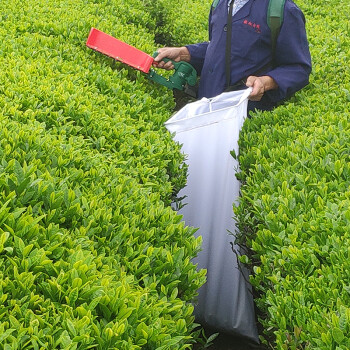 有机硒的产品(硒类产品)-硒宝网