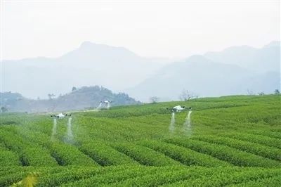 有机硒的产品(硒类产品)-硒宝网