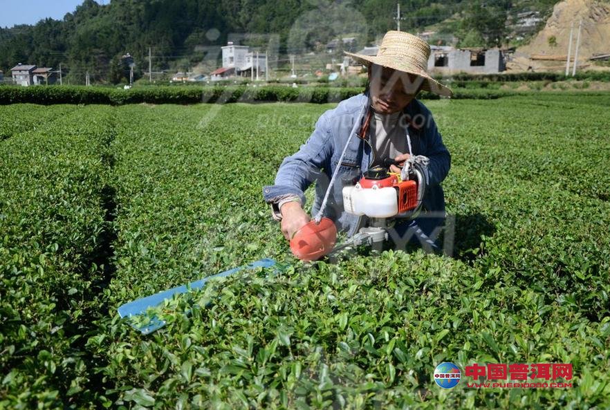 有机硒的产品(硒类产品)-硒宝网