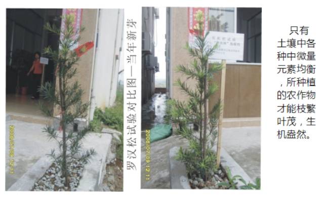 硒产品哪家好(硒产品哪家好)-硒宝网