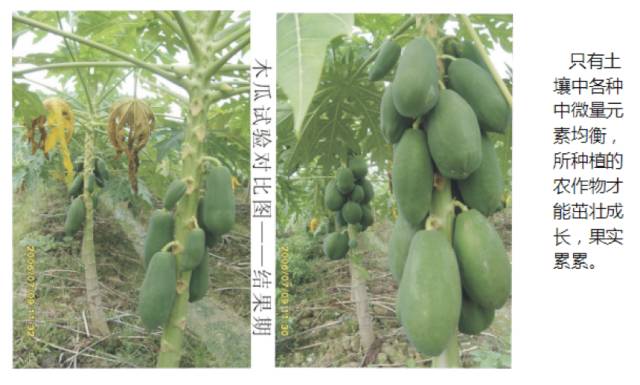 硒产品哪家好(硒产品哪家好)-硒宝网