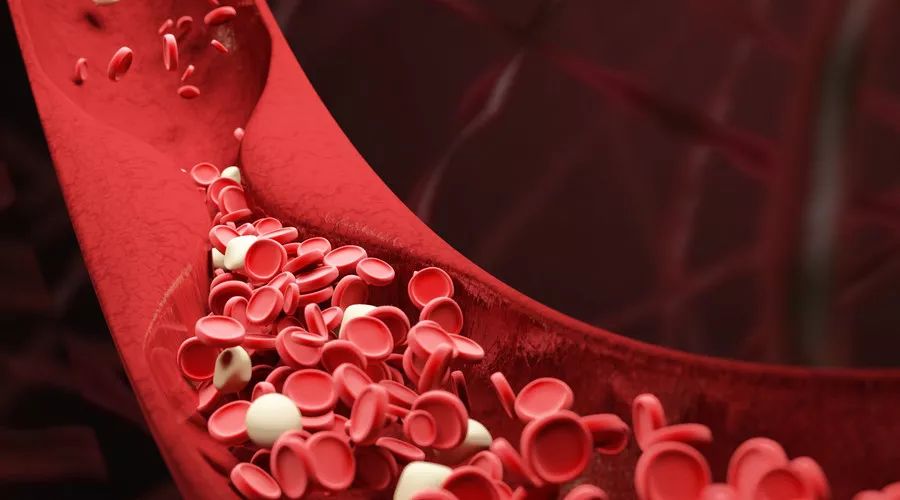 含硒高的水果（哪些食物水果含硒量高）-硒宝网