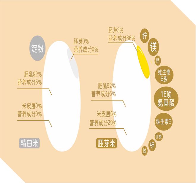 海伦富硒大米(海伦富硒大米好不好)-硒宝网