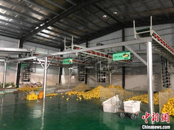 富硒大米厂家(富硒大米哪家好)-硒宝网