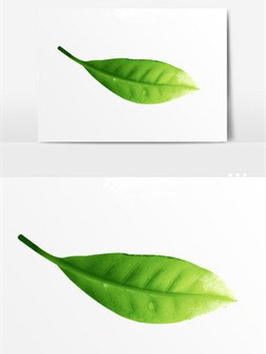 富硒茶的作用(富硒茶真的含硒元素吗)-硒宝网