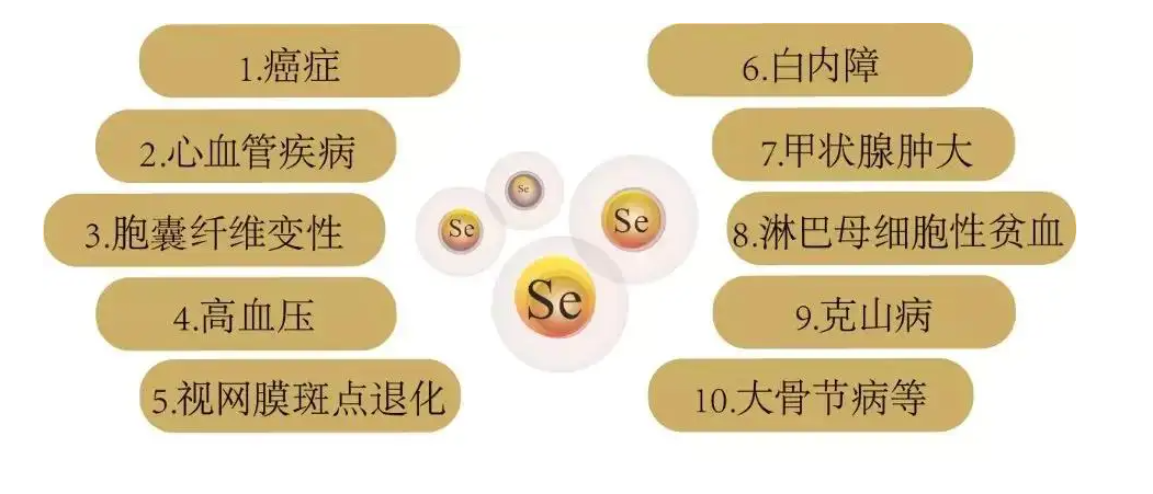 含硒高的水果(含硒高的水果)-硒宝网