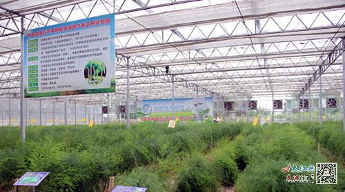 兴国富硒产品（兴国富硒产品介绍）-硒宝网