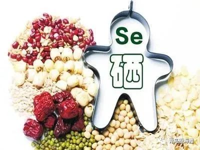 含硒高的水果（水果含硒量）-硒宝网