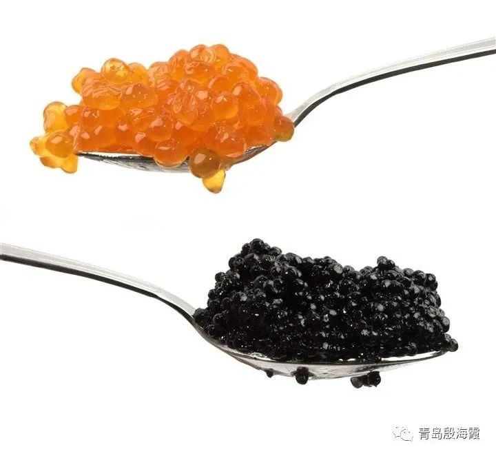 含硒高的水果（水果含硒量）-硒宝网