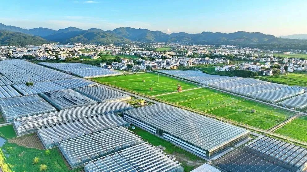 兴国富硒产品(江西富硒)-硒宝网