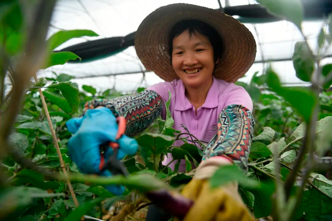 兴国富硒产品(江西富硒)-硒宝网