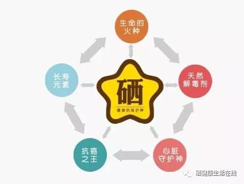 补硒十大功效(补硒十大功效)-硒宝网