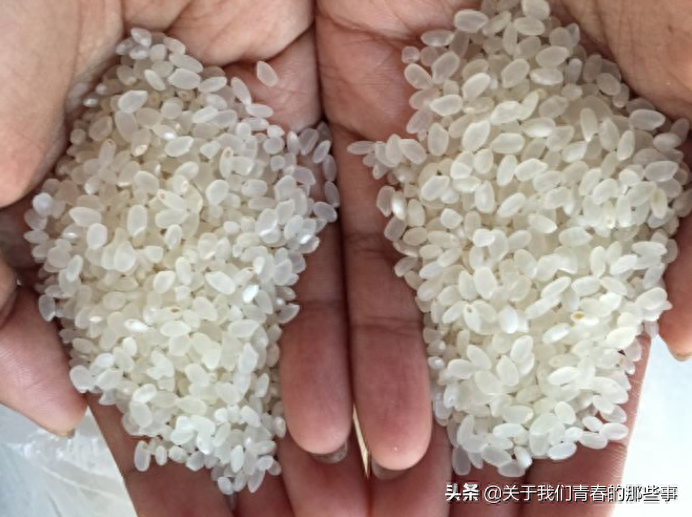 京和富硒大米（富硒的大米）-硒宝网